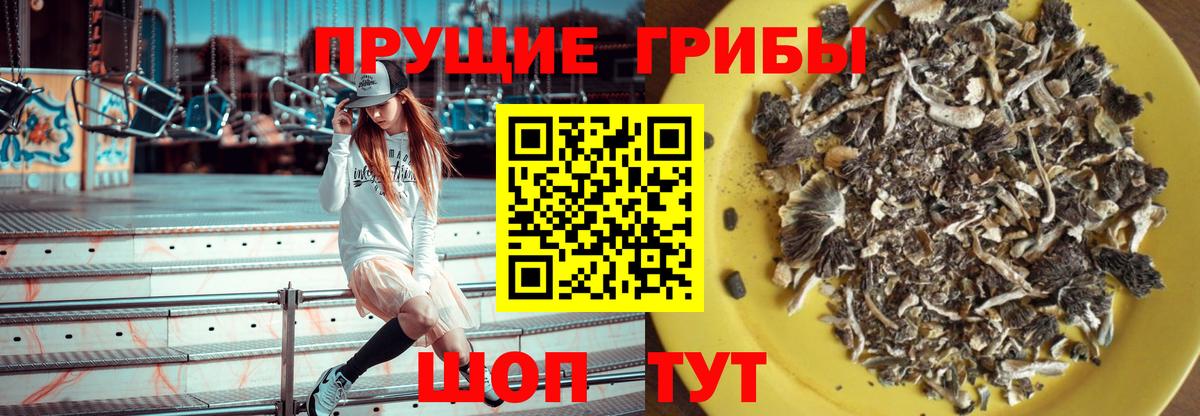 Псилоцибиновые грибы мухоморы  Галлюциногенные грибы прущие грибы  Вход с VPN  Северобайкальск 